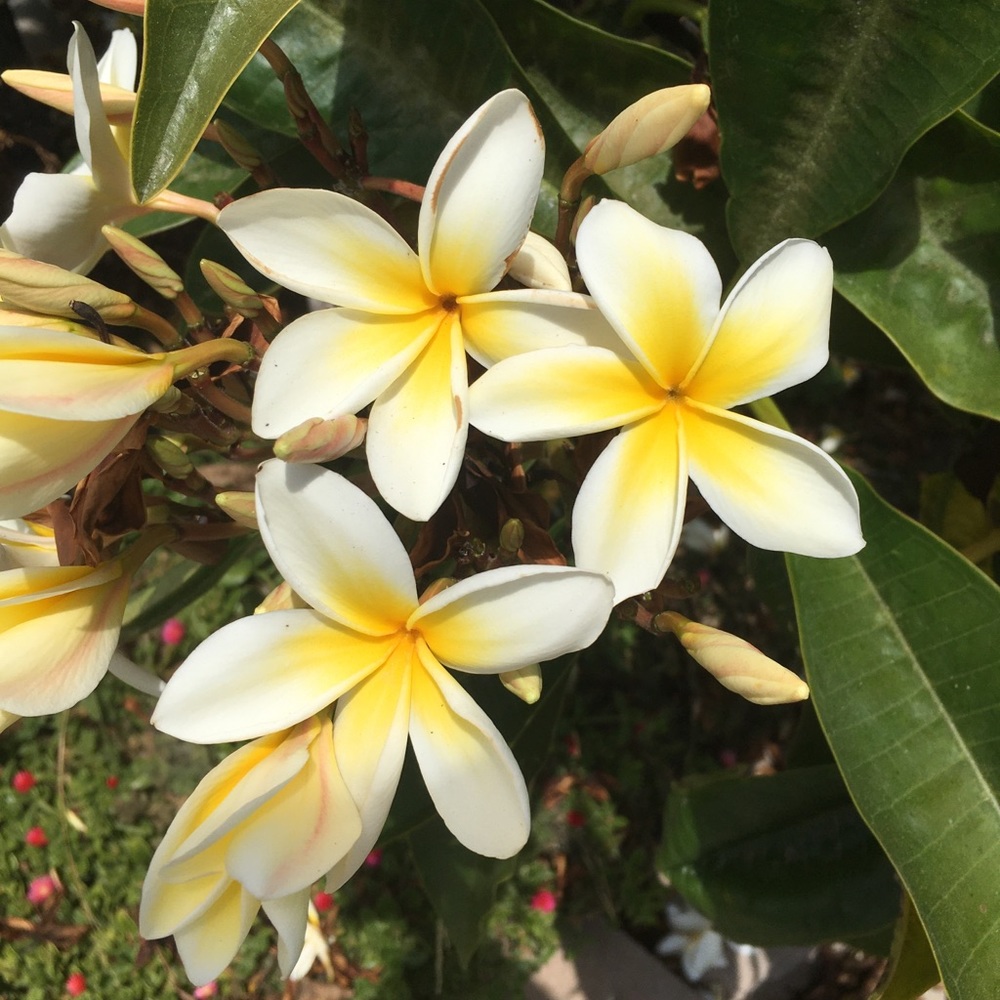 Meet your Posher, Kortni